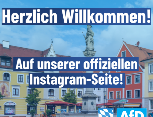 AfD Unterallgäu/Memmingen jetzt auch auf Instagram!